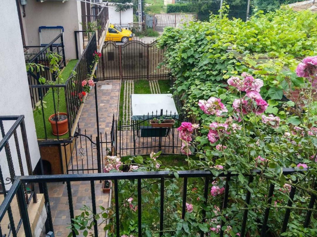 Apartament Stefy & Marie Konstanca Zewnętrze zdjęcie